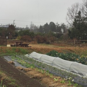 子供たちは雪で大喜び。収穫にやぎえさに、晴れの日と変わらない元気っぷり。