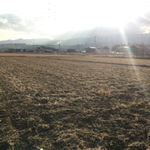 【タイムラプス】冬の耕し。新しい田んぼです♪♬