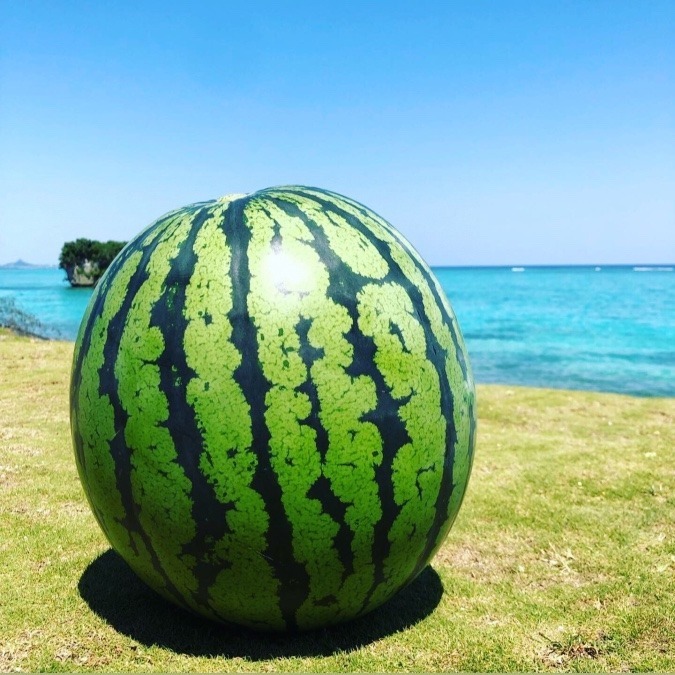 【準備中：沖縄なきじんスイカ】冬こそ美味しい！一年中、採れたてをお届け。