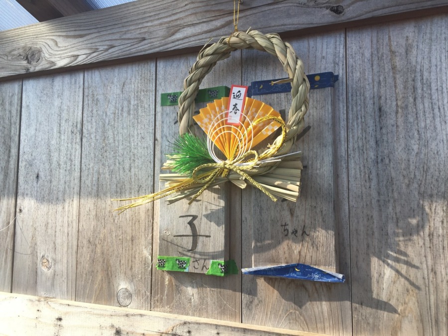 【迎春・あけおメ】今年もよろしくお願いいたします。