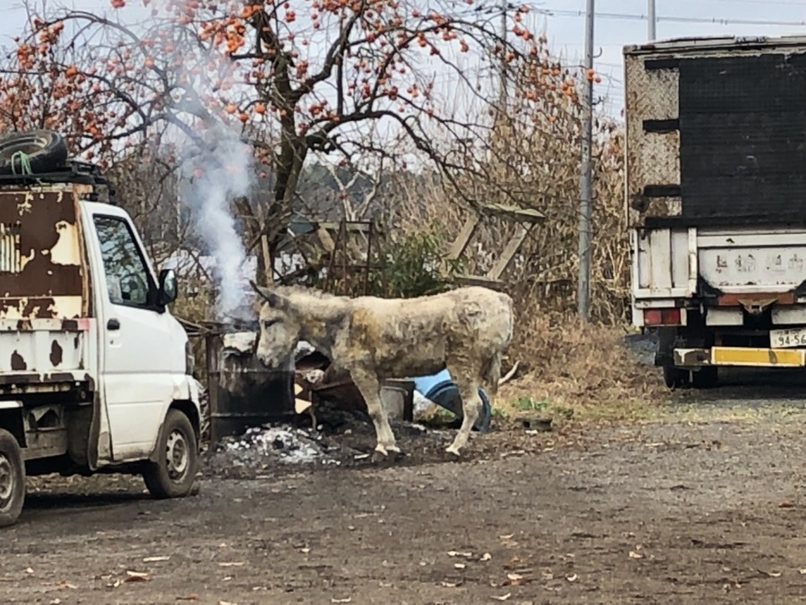 チー「こ」げた