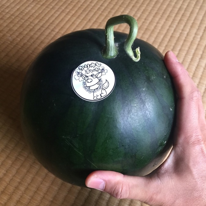 沖縄から冬こそ旨い！かりゆしスイカ、足柄へ🍉