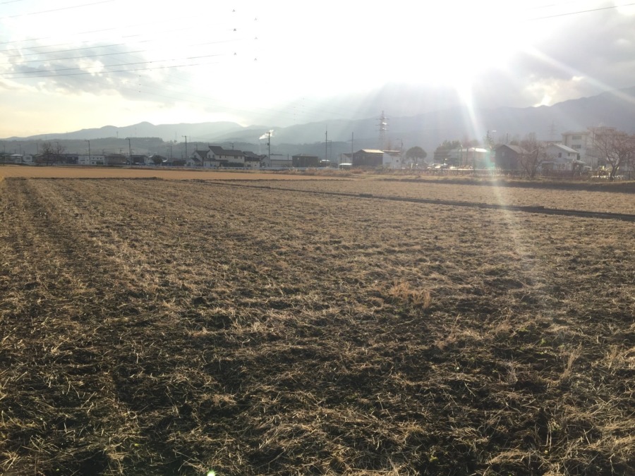 【タイムラプス】冬の耕し。新しい田んぼです♪♬