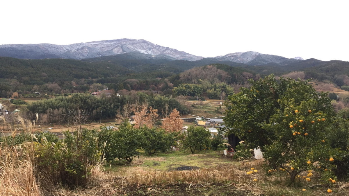 【はたけDE暦】まさに大寒！今日は丹沢山系の雪化粧が見えます。にんにくの畑から。