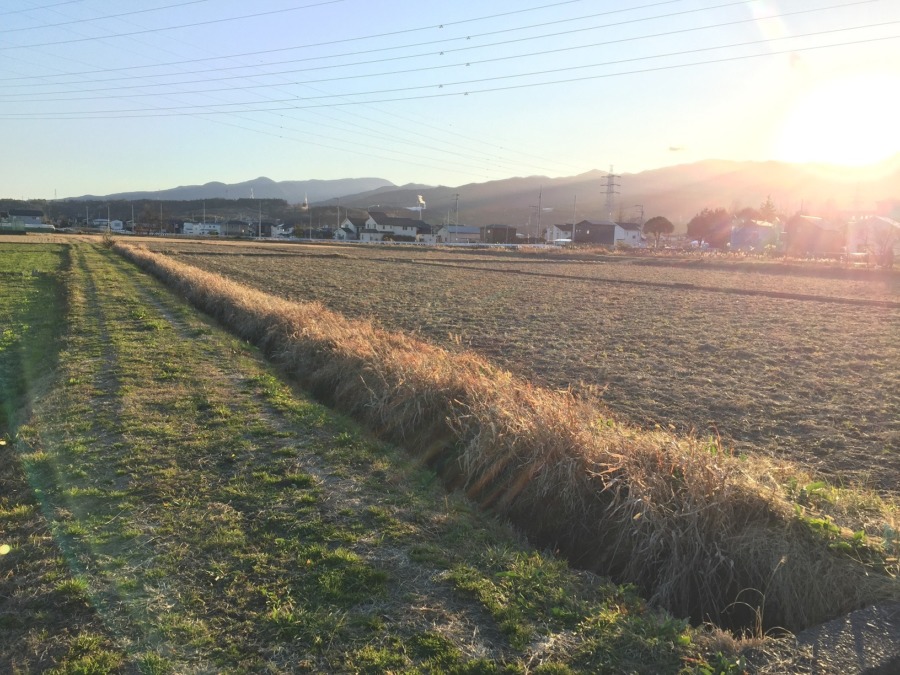 【ファーマーズラプス♪♬】これで冬の耕しは終わり。次は春。