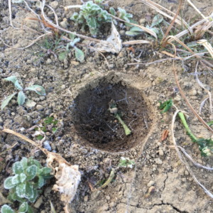 この穴な～んだ？クレーターみたい。