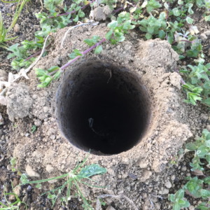 この穴なーんだ？パート②。深い、、、。