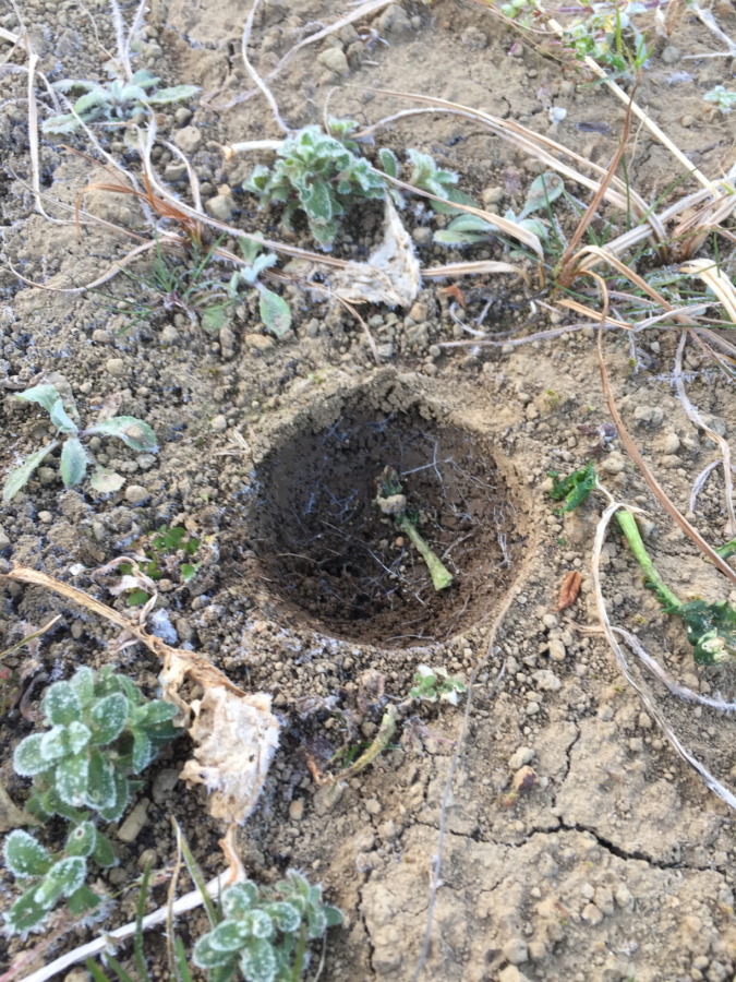 この穴な～んだ？クレーターみたい。