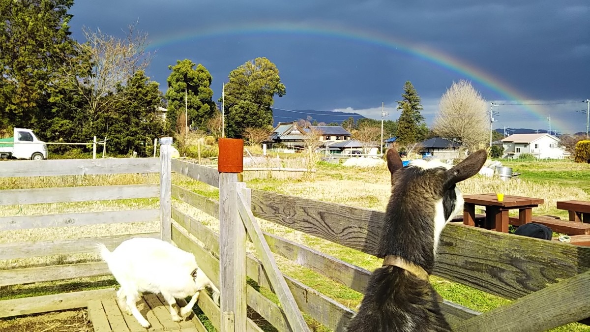 なんかいいことありそう