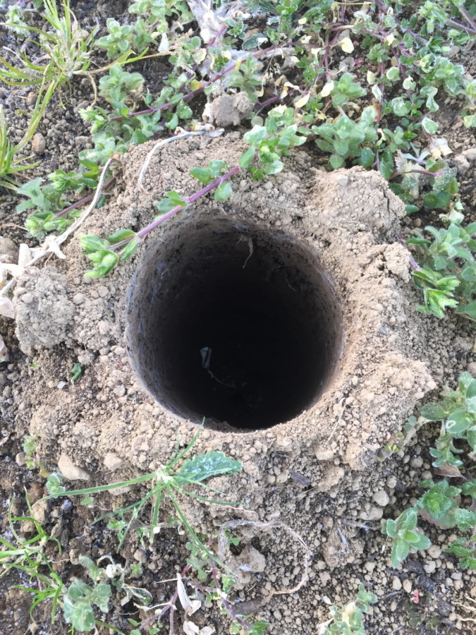 この穴なーんだ？パート②。深い、、、。