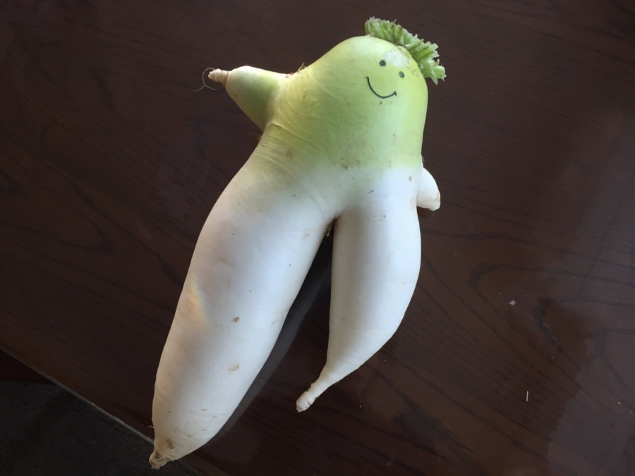 変なだいこんは、畑の華。