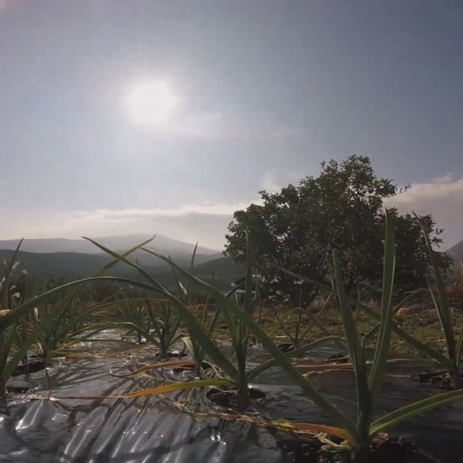 【撮る】タイムラプスをiPhoneで撮る