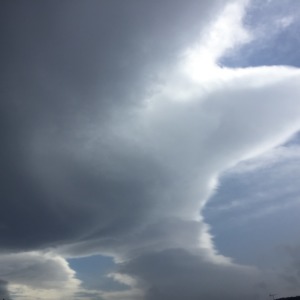 いかにも降りそうな雲。風も強い。