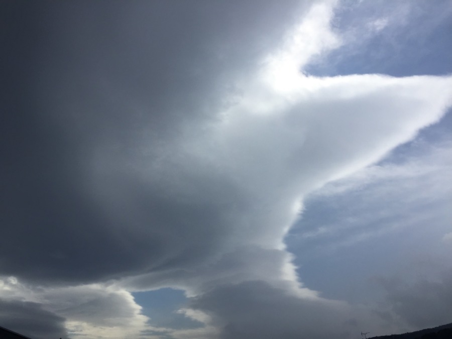 いかにも降りそうな雲。風も強い。