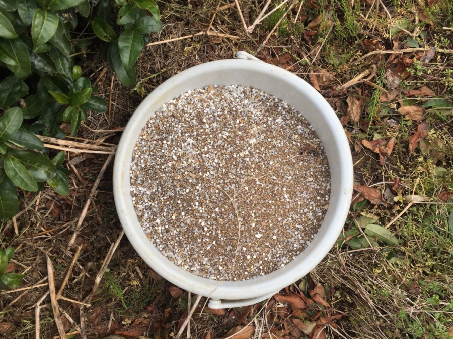 【施肥】春のお茶畑しごと、肥料をまきます。煮干しの香り♪♬