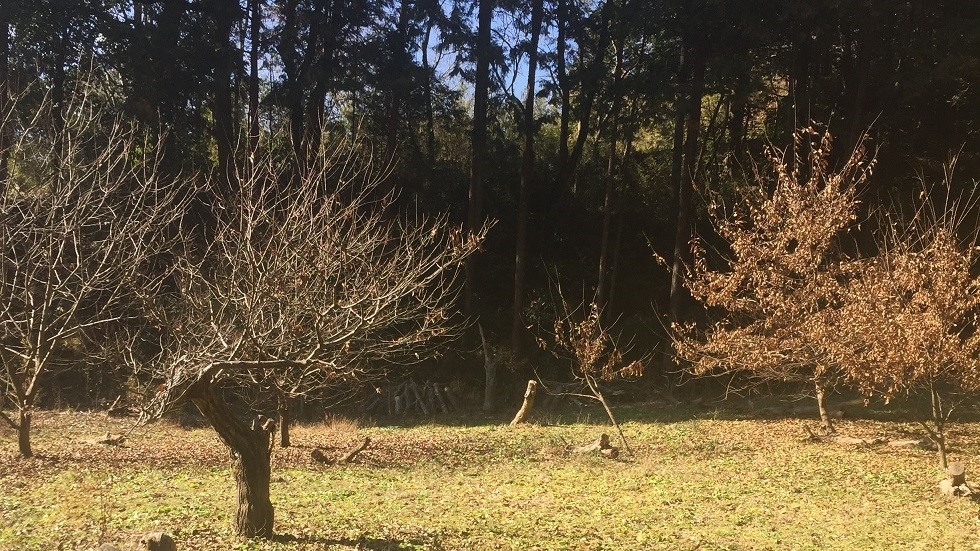 足柄罠猟事始め