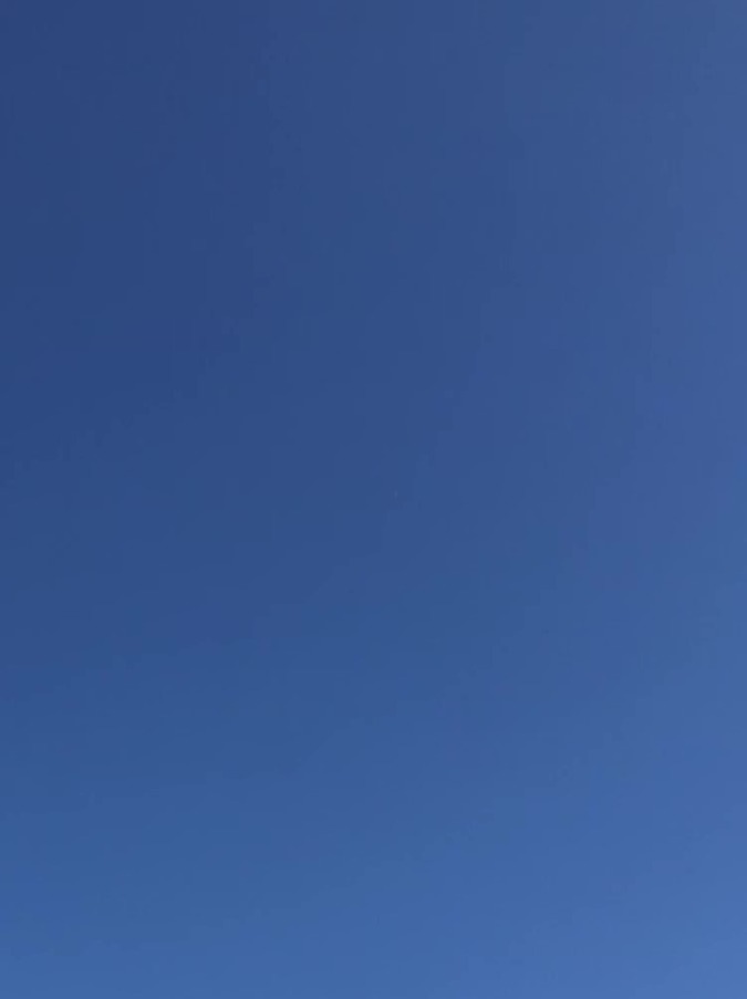 揚げ雲雀（あげひばり）