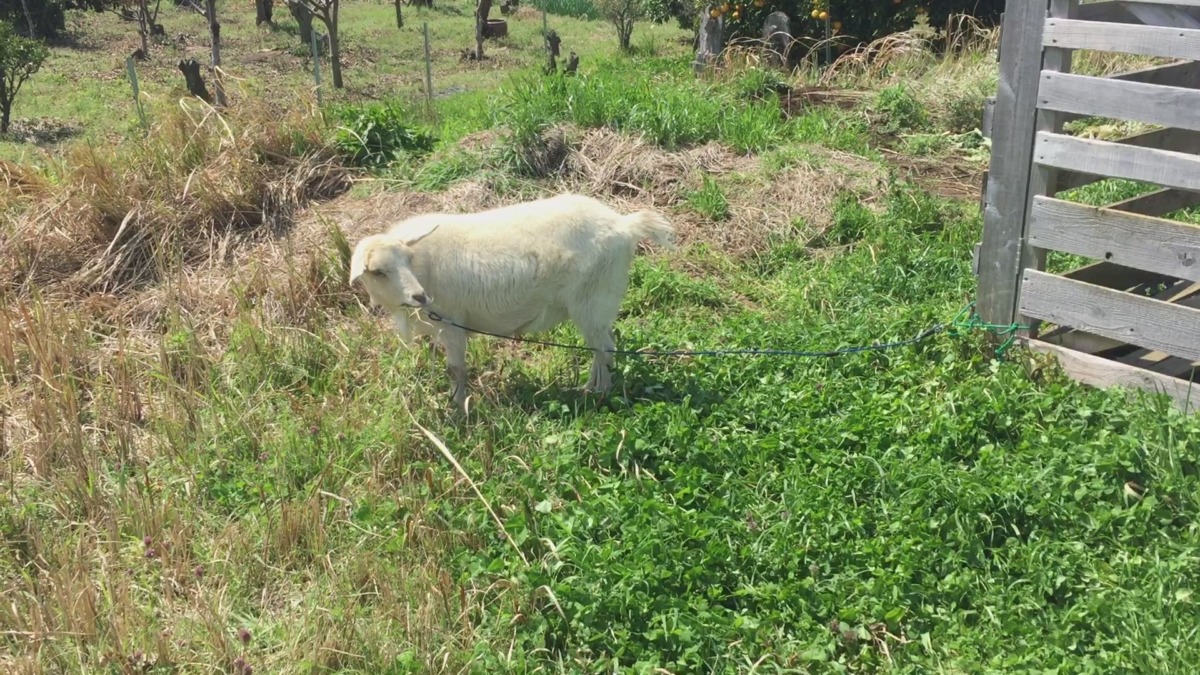 久々に、外でごはん♪♬