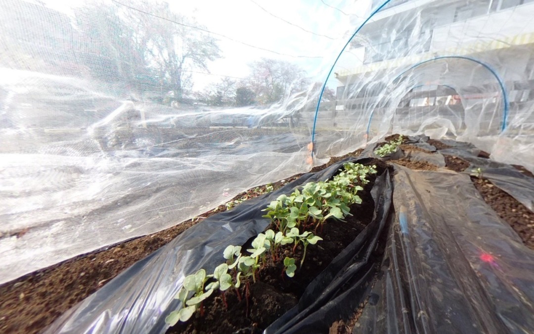 【VRツアー】各区画のトンネルの中に入って、色んなベイビたちにご挨拶を💛