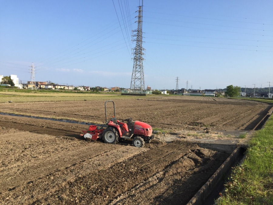 今日の耕しは三反ほど。途中雨でも夕方は晴れました。