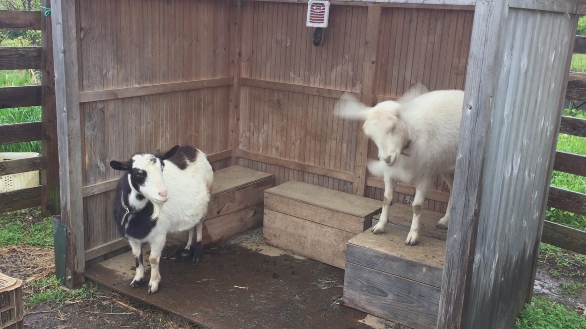 雨の日はひま。
