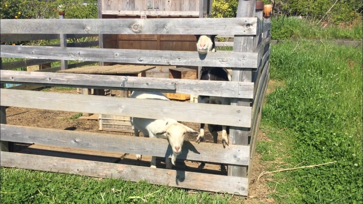 おかーさんと、いつものおはようポーズ。