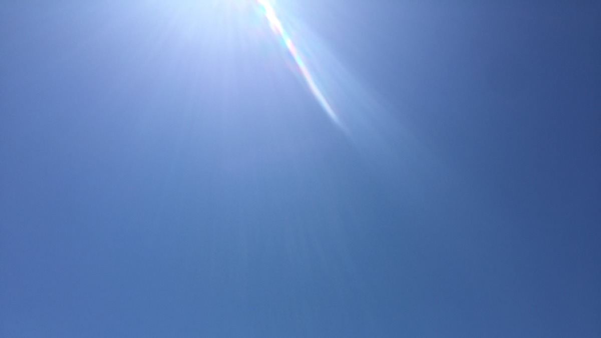 今日の湘南ファームは五月晴れだよ～！！