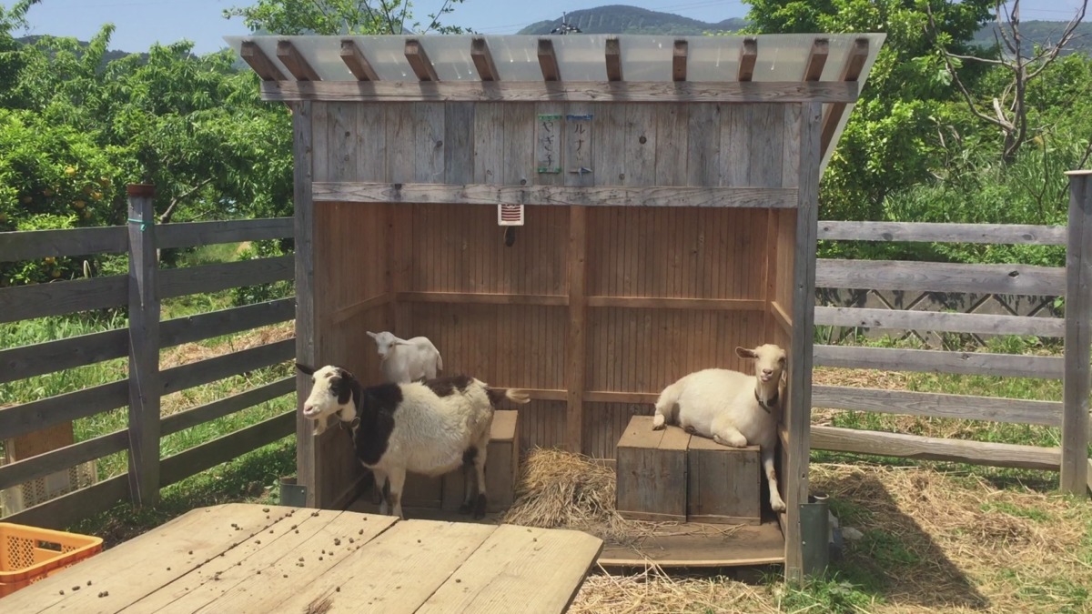 家族でまったり。