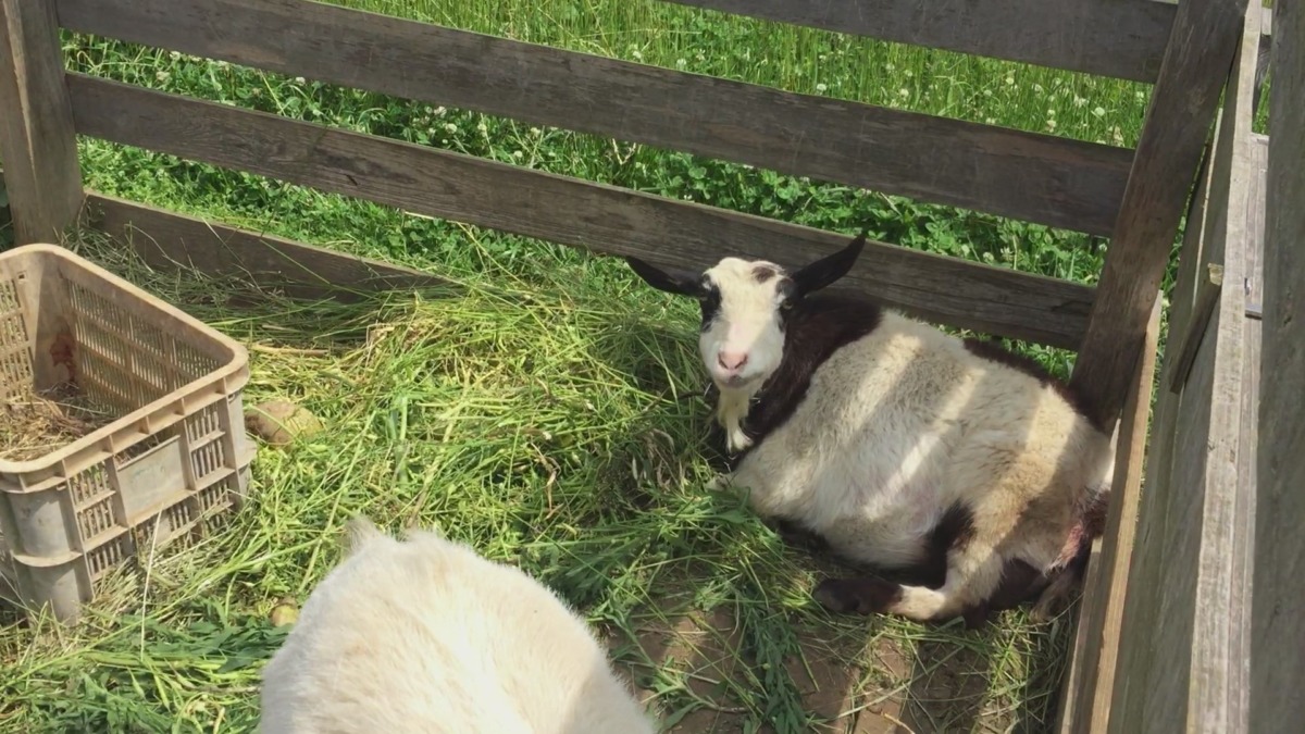 ふぅ。今日は、座って食べます。