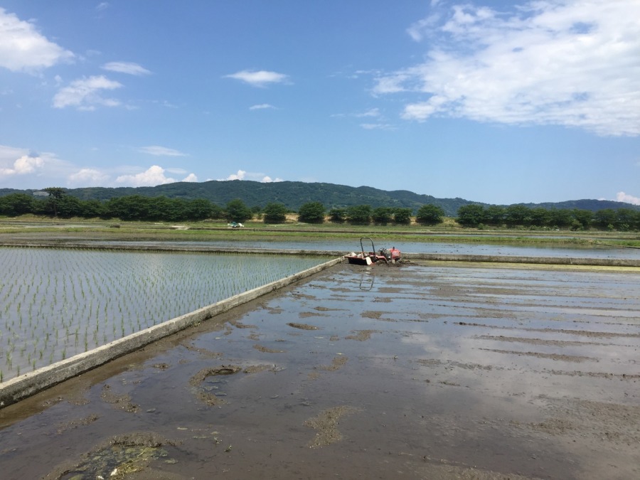 今日も、自力での脱出できず。明日救援をお願いしました。