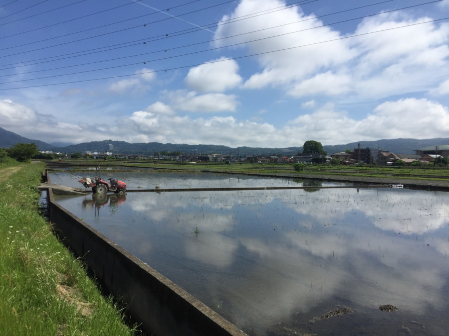 好天の中、荒代掻き完了。次はいよいよ代掻き→田植え。