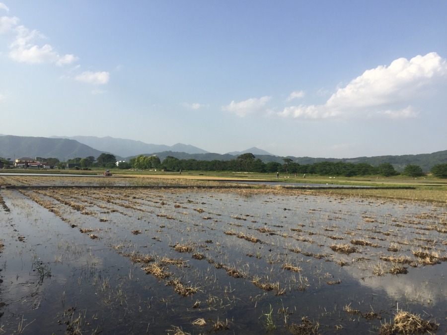 水入りました。いよいよ「代掻き」の季節。