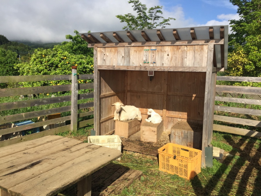 弟との距離感💛