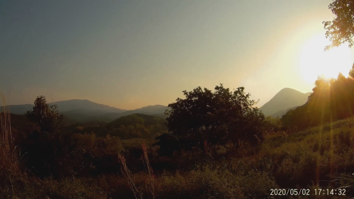 【タイムラプス♪】のんびりニンニクの一日。日も長くなりました。