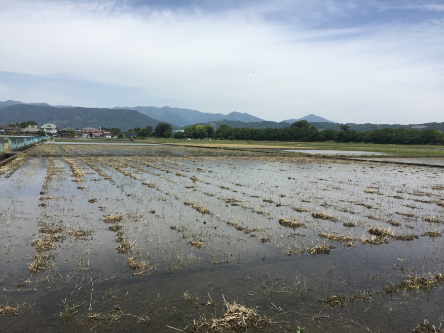 荒代掻き一日目、終了。