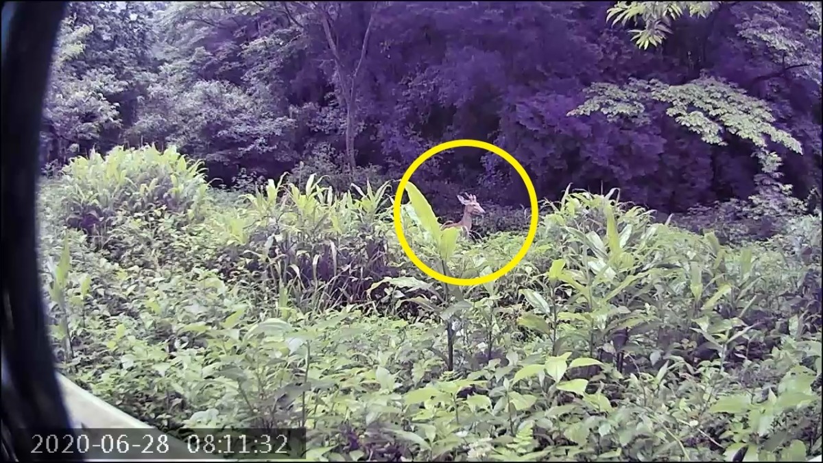 わたし、食べに来ました。