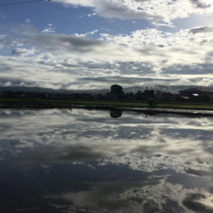 早朝の田植えの様子を【3分で】どうぞ♪♬