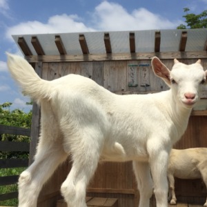 すごいジャンプする我が子💛