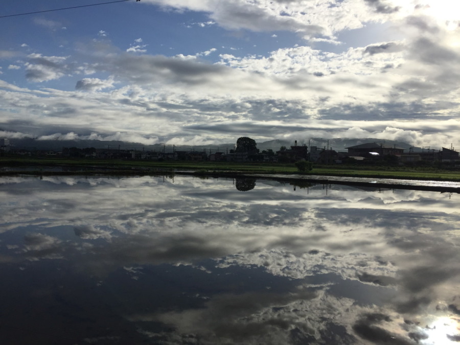 早朝の田植えの様子を【3分で】どうぞ♪♬