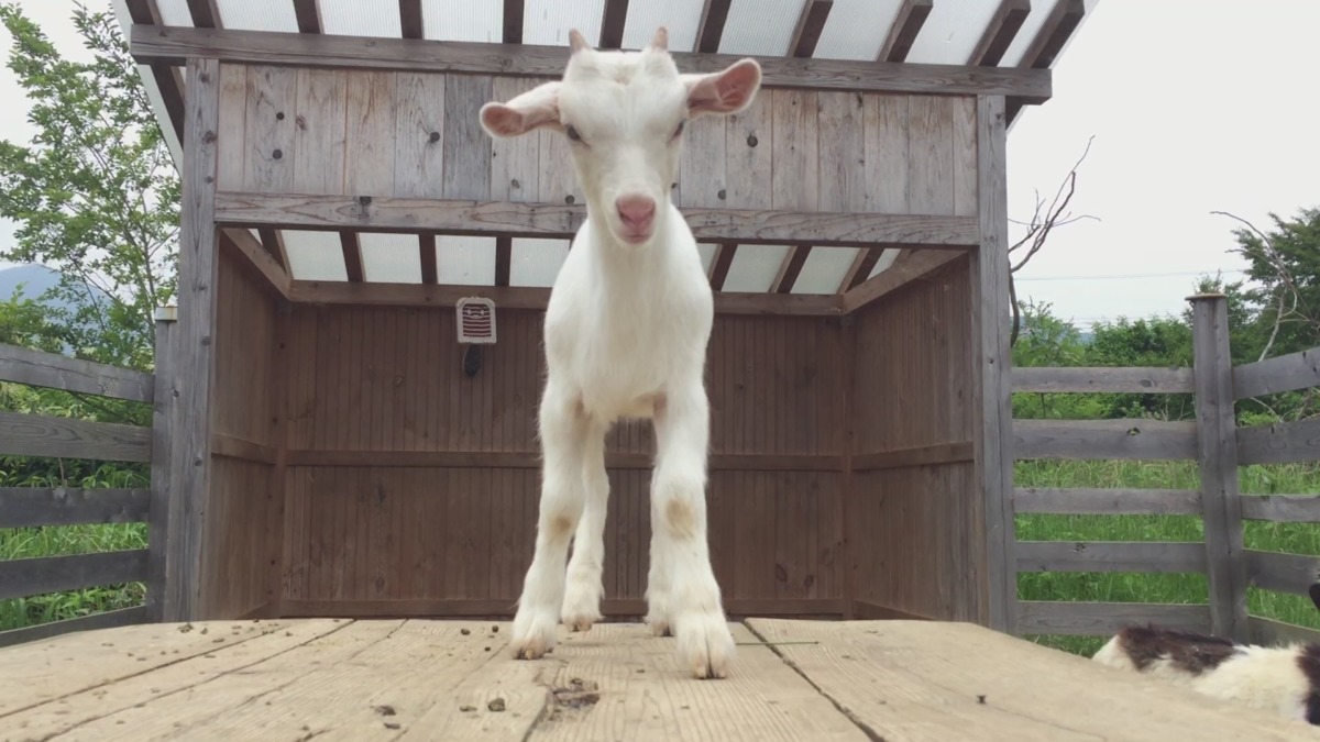 おっぱい飲んでご満悦な我が子。