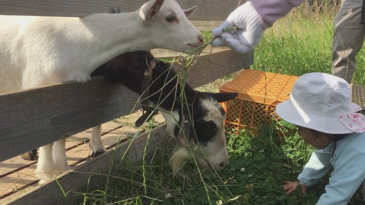 今日は親子で親子のお客様対応。