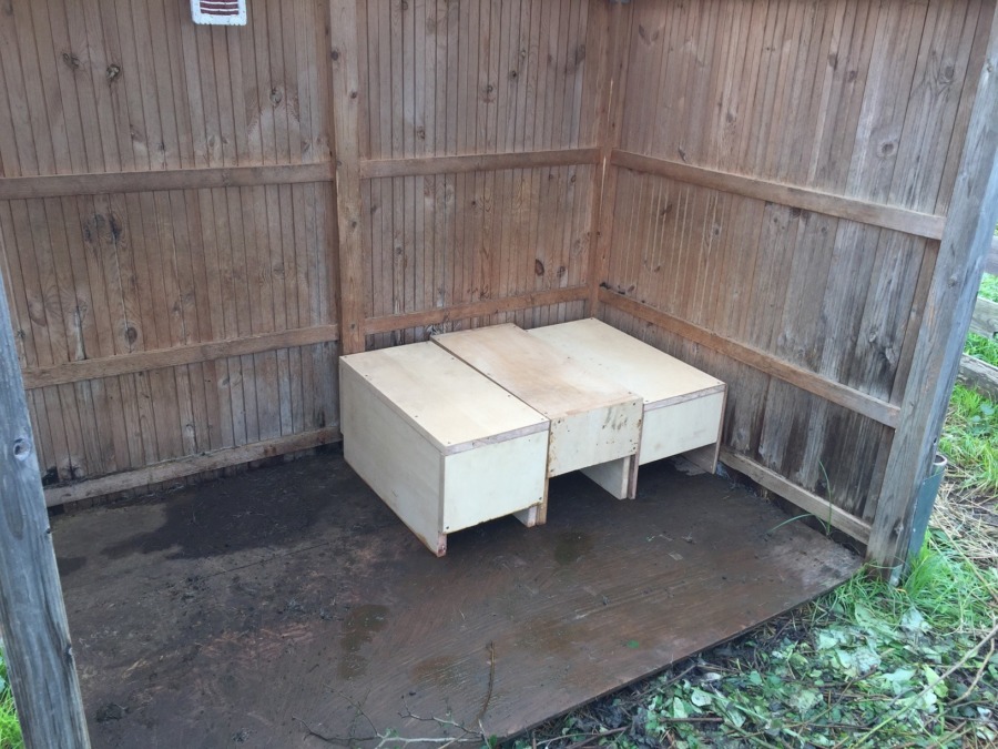 新しい「台」のプレゼントがありました。サンクス。