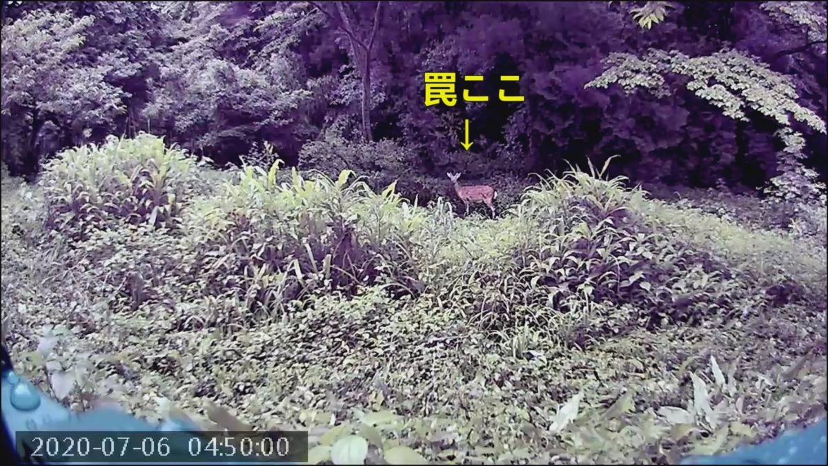 わたし、ニアミスしました。