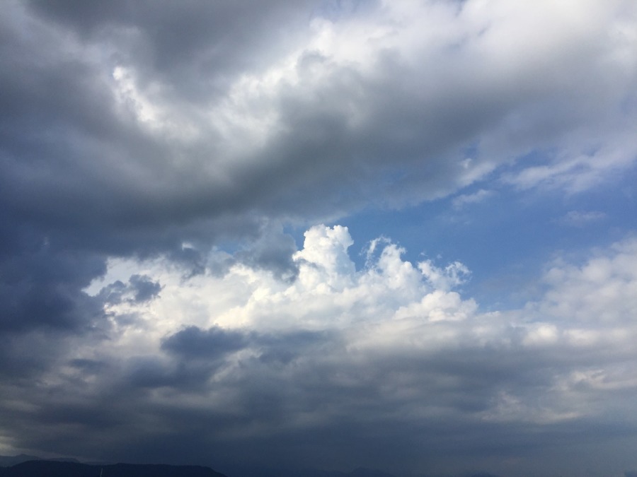 最近では珍しく、夕立ちっぽい雨が降りました。