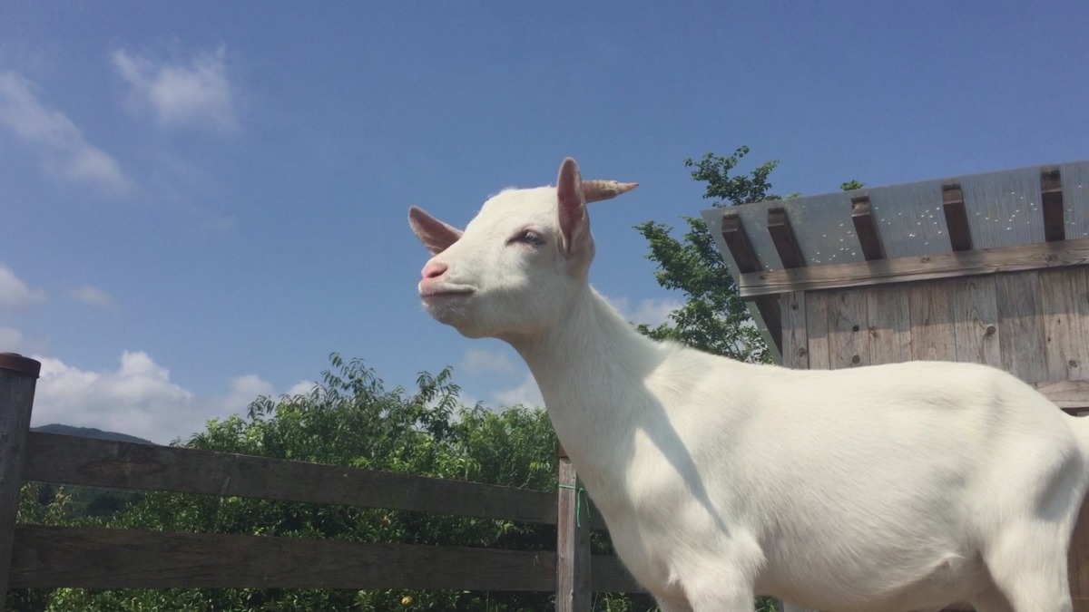 賢そう💛そして、、、