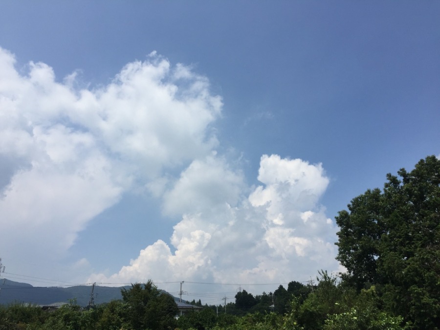 それでも朝夕、たいぶ涼しくなりましたね。