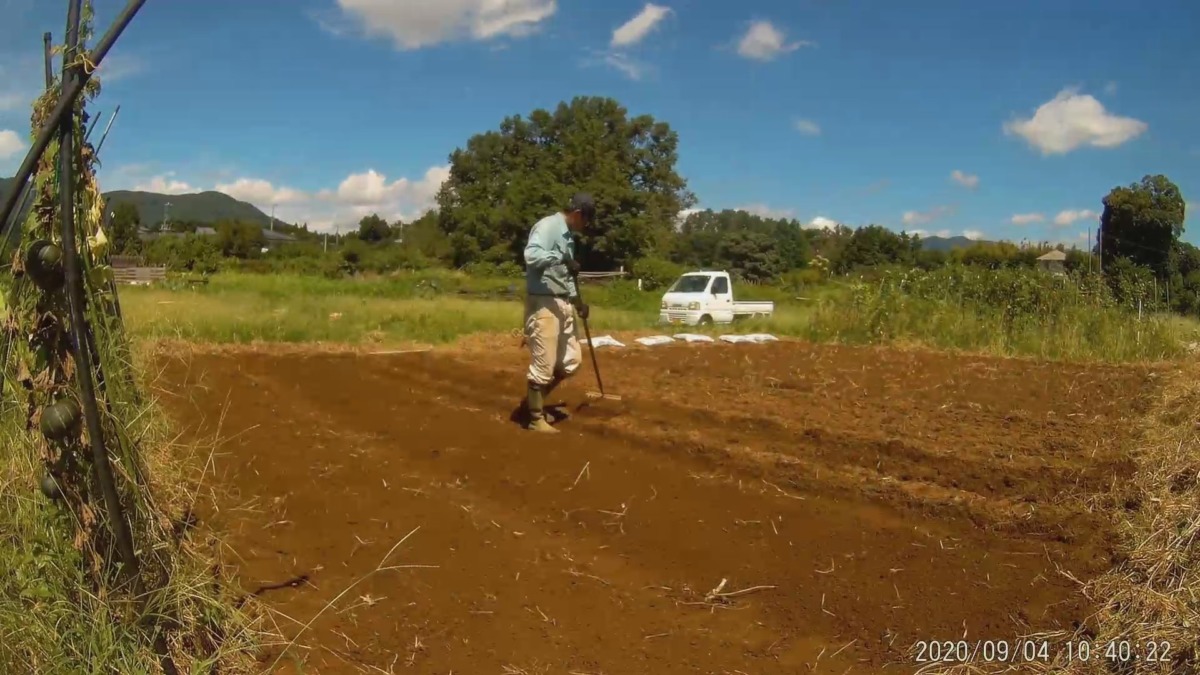 堆肥ふりと畝たて三本。炎天下での作業は1時間。