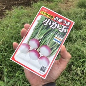 「あやめ雪」の種まき。vol.1