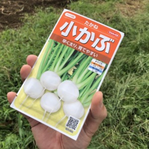 「こかぶ」の種まき。vol.1