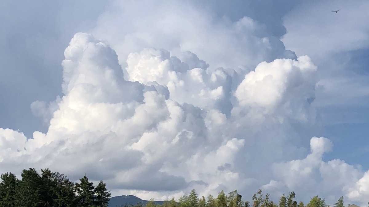 夏らしい雲。